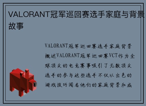 VALORANT冠军巡回赛选手家庭与背景故事