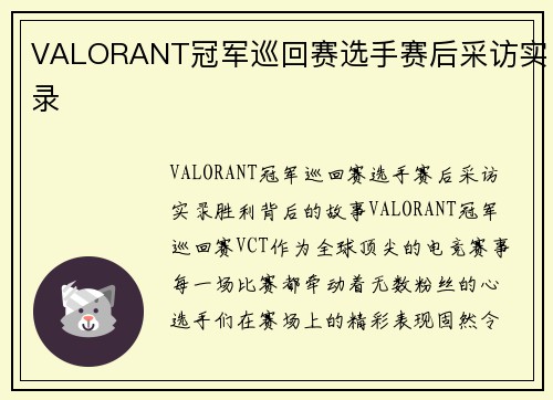 VALORANT冠军巡回赛选手赛后采访实录