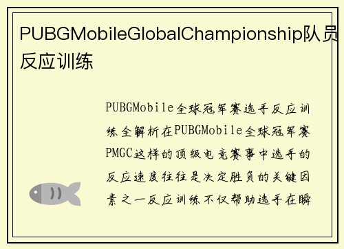 PUBGMobileGlobalChampionship队员反应训练